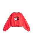 TOMMY HILFIGER Свитшот в красном цвете - фото