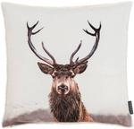 Наволочка Magma-Heimtex Hirschkopf, 45x1x45 см, бежевый - фото