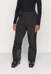 Лыжные брюки Helly Hansen SWITCH CARGO PANT, Black - фото