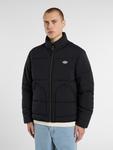 Куртка межсезонная DICKIES, черный - фото 3