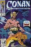 Conan the Barbarian, Edition# 251 (Marvel) - фото
