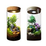 Настольное украшение Qiu Chen - фото 8