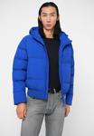 Куртка EA7 Emporio Armani MOUNTAIN JACKET BIG LOGO, Surf The Web/Blue - фото 5