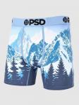 Боксеры PSD Alpine Chill Boxershorts, mulit - фото