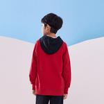 Толстовка унисекс Jordan, красный - фото 4