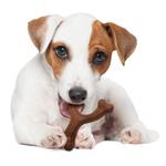 Nylabone Extreme Chewbone Bison л Nylabone, цвет коричневый - фото 3