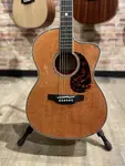 Takamine LTD2022 Gloss - фото 3
