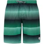 Плавки-Шорты prtray jr Protest, зеленый - фото