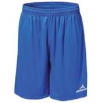 Шорты Mercury Equipment Pro, синий - фото