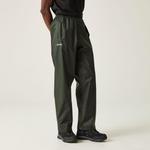 Мужские брюки Regatta, зеленый - фото