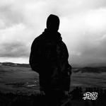 Виниловая пластинка LP Lord - FF - фото