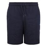 Шорты adidas E Lin Shrt Ft Logo Training Sports Shorts Blue, синий - фото