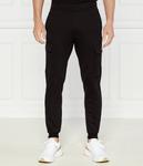 Спортивные брюки EA7 Regular Fit, черный - фото