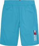 Спортивные шорты Tommy Hilfiger для мальчиков, Essential Aquarious - фото