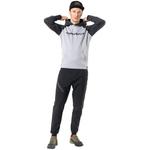 Толстовка с капюшоном 24/7 ptc hoody m Dynafit, мультиколор - фото 2