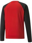 Свитер TeamLIGA Training Sweat красного цвета Puma - фото 2