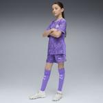 PUMA Шорты для тренировок Regular 'Olympique de Marseille 25/26' в цвете Purple, Lilac - фото 5