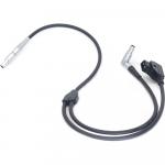 DigitalFoto Solution Limited Y-Shaped Power Cable for ARRI RA-D6 - фото 4