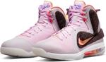 SOUTH COAST LEBRON 9 Nike, Regal Pink/Multicolor/Velvet Brown - фото 2