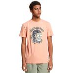 Футболка Quiksilver Skull Trooper, розовый - фото