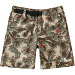 GS Шорты The North Face, цвет Print - фото