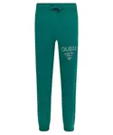 Спортивные штаны Regular fit Guess, зеленый - фото