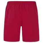 Шорты для плавания Protest Baky, красный - фото 2