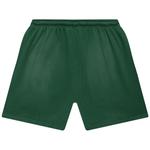 Шорты Hellstar Flame Shorts Green, зеленый - фото 2