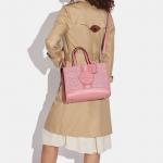 Демпси Хэндбэгз КОУЧ - фото 5