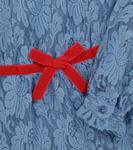 Кружевное платье с дельфином The Animals Observatory, Blue Logo - фото 3