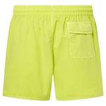 Шорты для плавания Oakley Robinson RC 16´´, желтый - фото 2