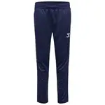 Брюки Hummel Authentic Training, синий - фото