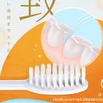 Зубные щетки Unisex LION - фото 6