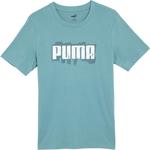 Футболка мужская серая голубая PUMA - фото 2