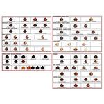 Перманентная краска для волос 60 мл, Salerm Cosmetics - фото 2