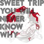 Диск CD You Will Never Know Why - Sweet Trip - фото