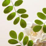 Очищающая пенка для лица Rituals, 125 мл - фото 4