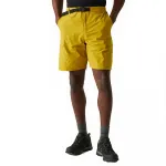 Шорты Regatta Mallen, желтый - фото