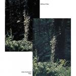 Фильтр Tiffen 72mm Ultra Contrast 5 Filter 72UC5 - фото 2