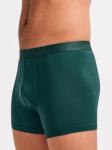 Erlich Textil Боксеры 'LIGHT TOUCH' в темно-зеленом цвете - фото 8