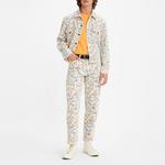 Levis Зауженные брюки джинсы мужские multicolor - фото 5