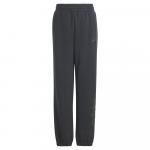 Брюки adidas All Szn Graphic, черный - фото