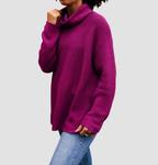 Свитер для выгула собак в фиолетовом цвете Echo Verde - фото