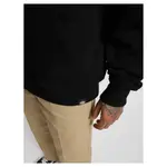 Худи Dickies Parrotsville, черный - фото 8