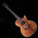 Акустическая гитара Taylor 2019 Custom GA - фото 3