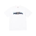 Футболка Supreme Tag Tee, белый - фото