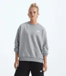 Женская блузка Evolution Simple Dome Oversize Crew The North Face, TNF Pale Grey Heather - фото