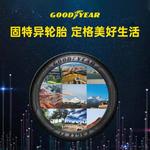 Goodyear Шины 255/60R19 109H Eagle Touring - фото 2