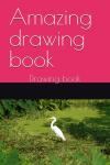 Amazing drawing book: Drawing book (Independently published) - фото