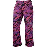 Брюки Burton AK 2L Summit Burton, Slash Multi - фото 3